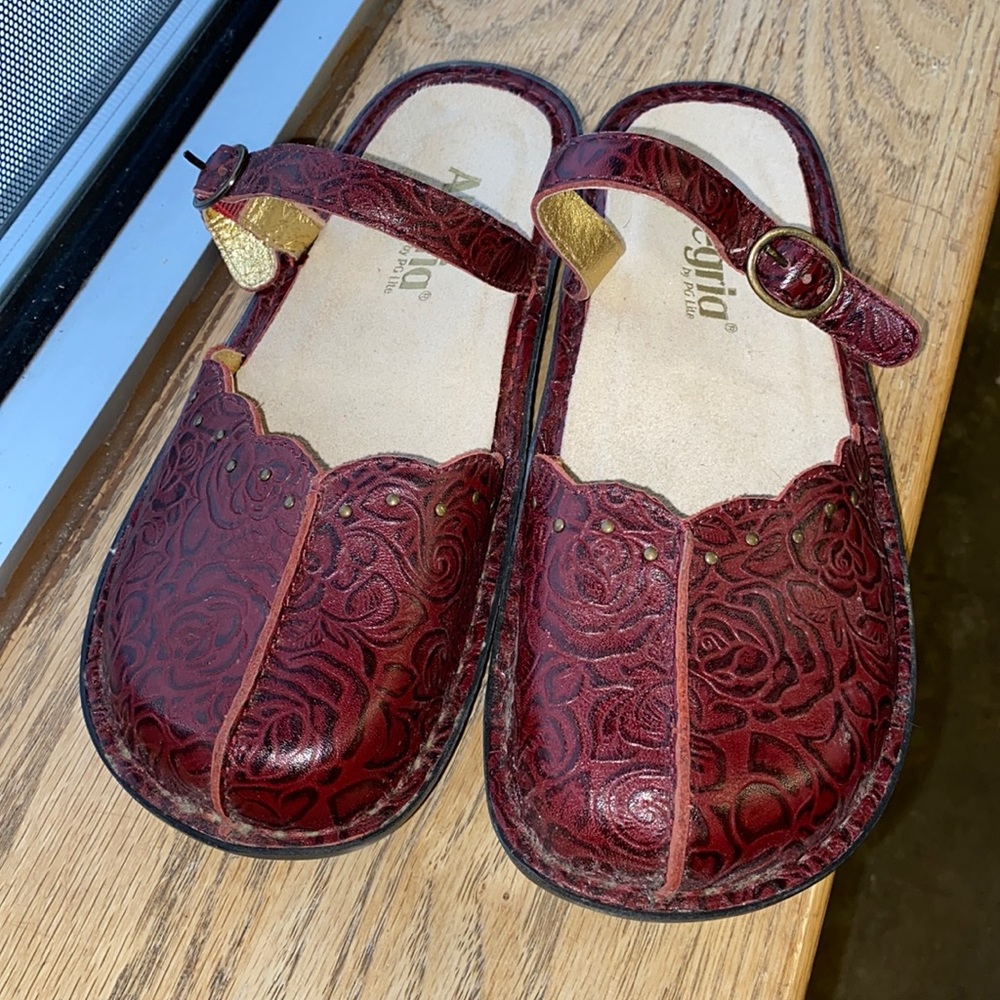 Alegria Shoe Sz 38/US Sz 8